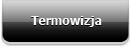 Termowizja